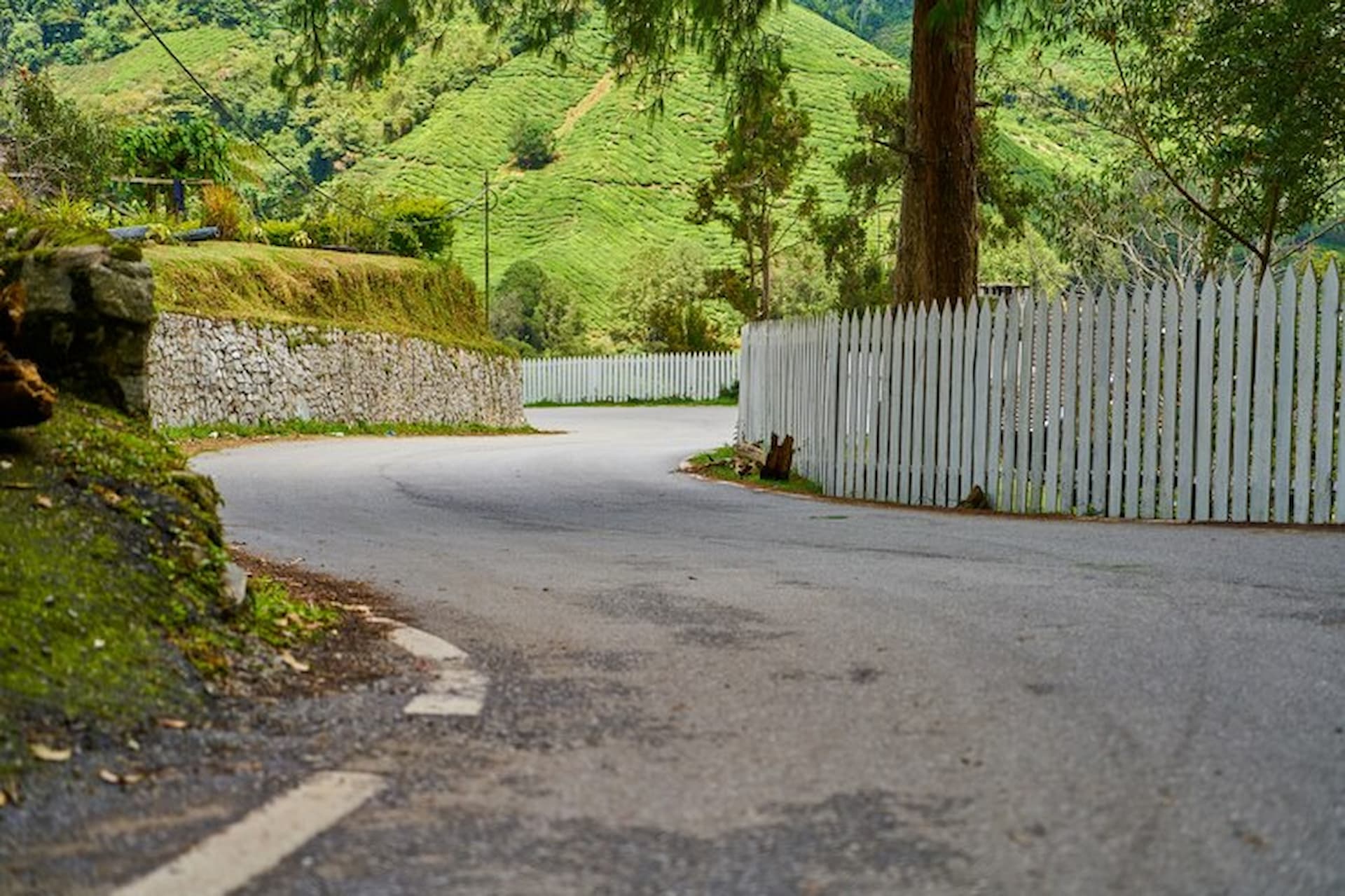 Beautiful Driveway